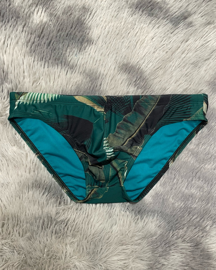 Essential Brief PALMERA