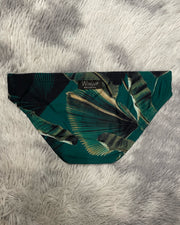 Essential Brief PALMERA